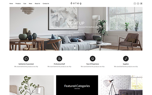 外贸谷歌建站案例